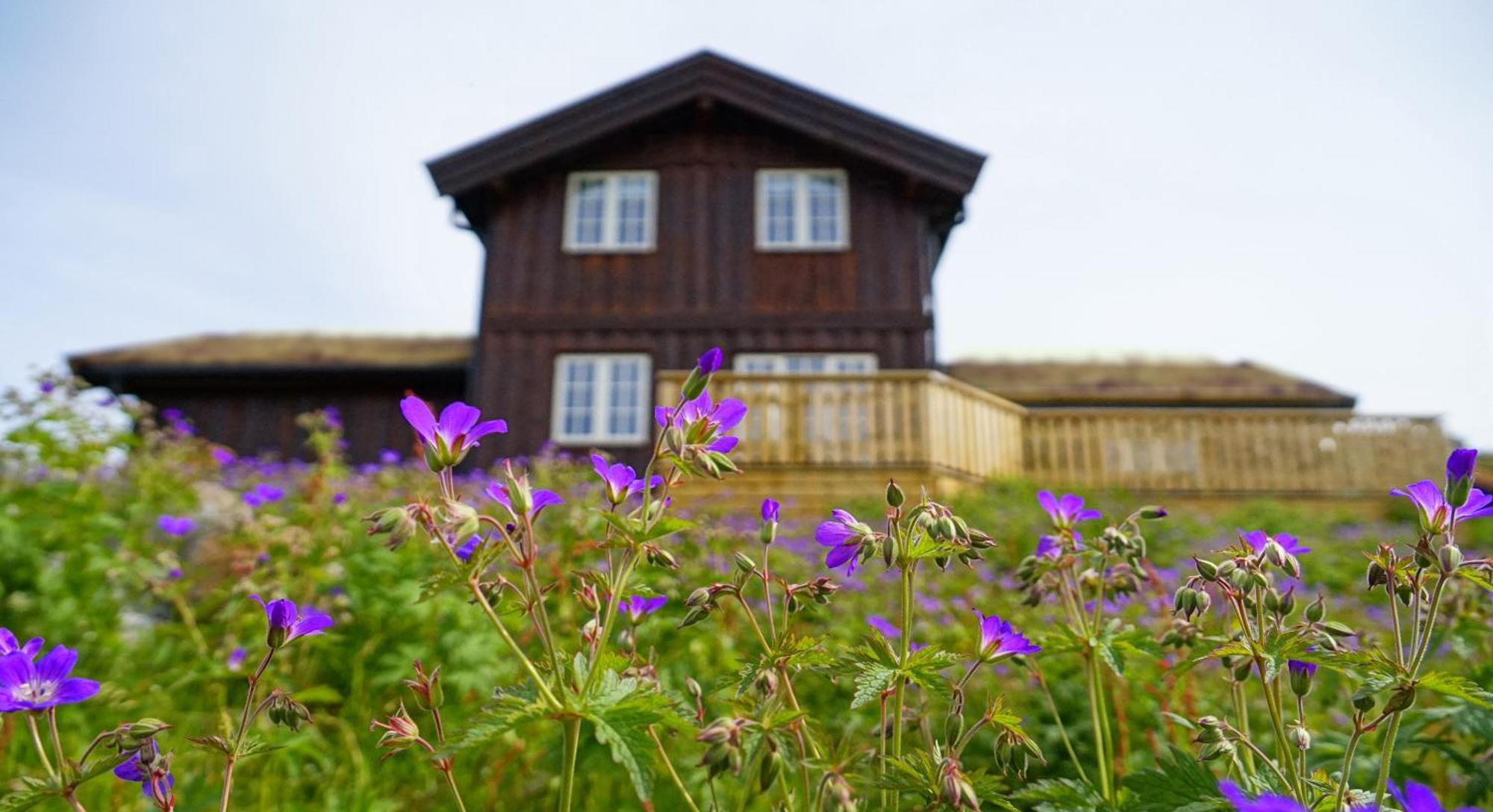 Rauland Feriesenter Villa Kültér fotó